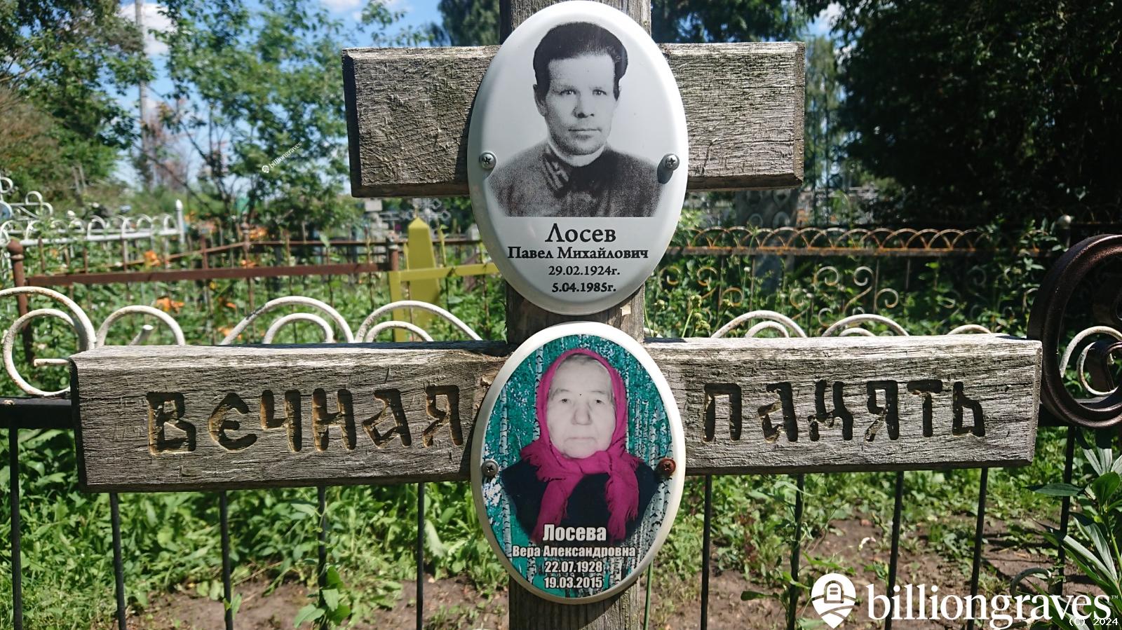 Лосева Вера Александровна