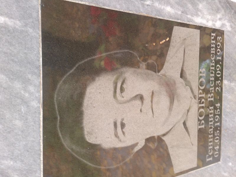 Бобров