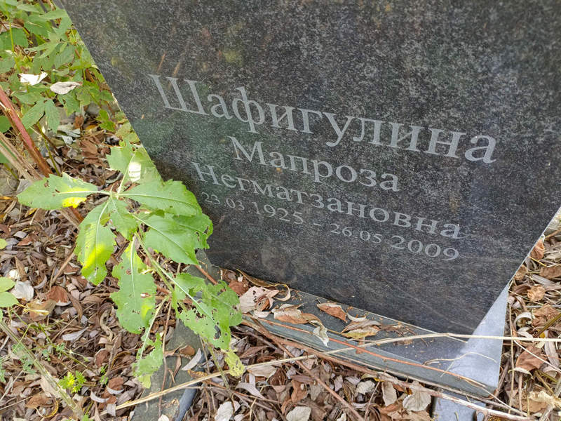 Мапроза Шафигулина Негматзановна