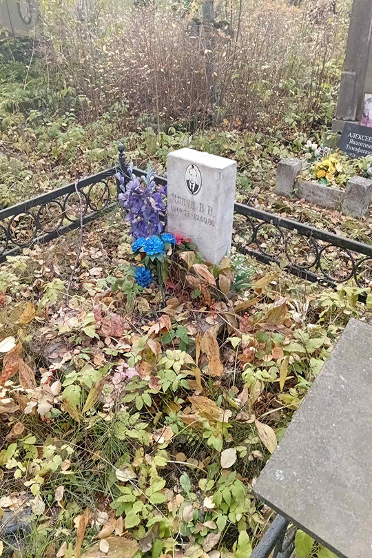 Минин В. Н.