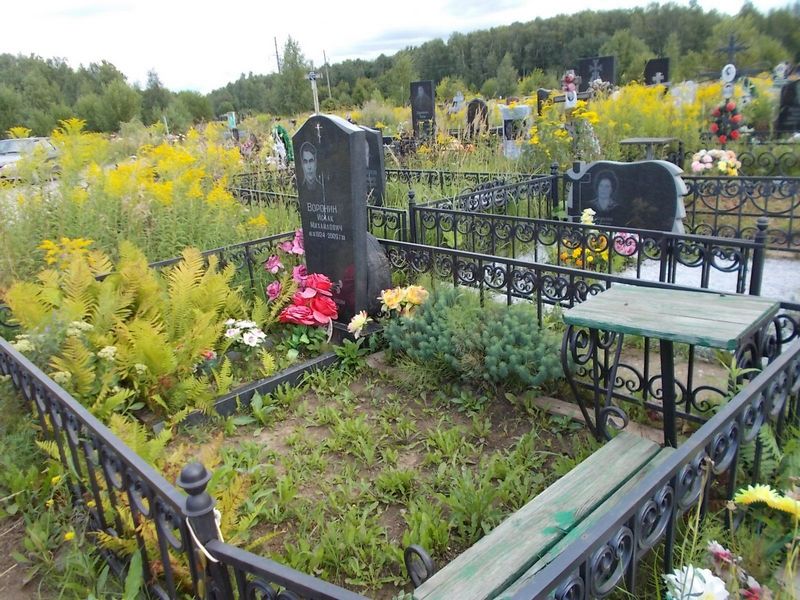 Воронин Исаак Михайлович