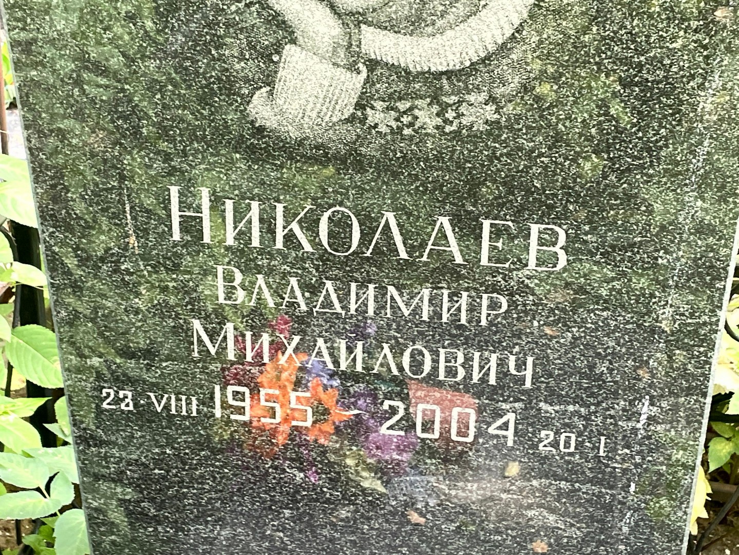 Николаев