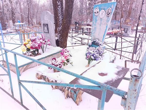 Липкин Александр Сергеевич