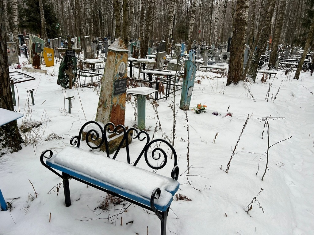 Афанасьева Анна Михайловна