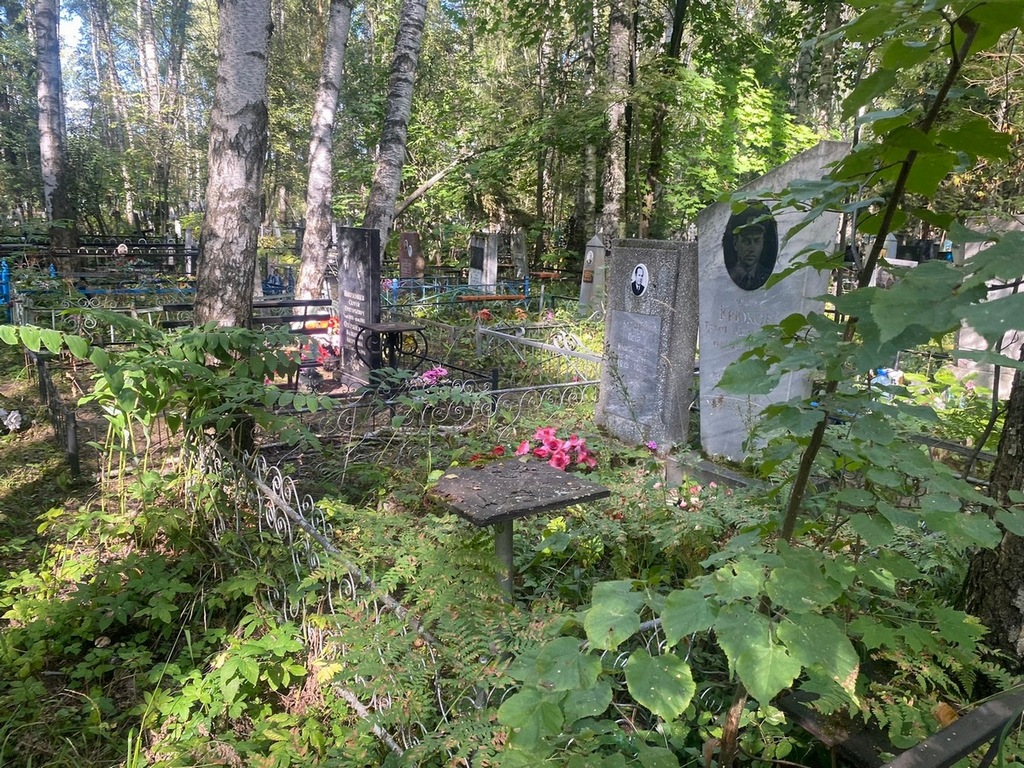 Таранец Петр Михайлович