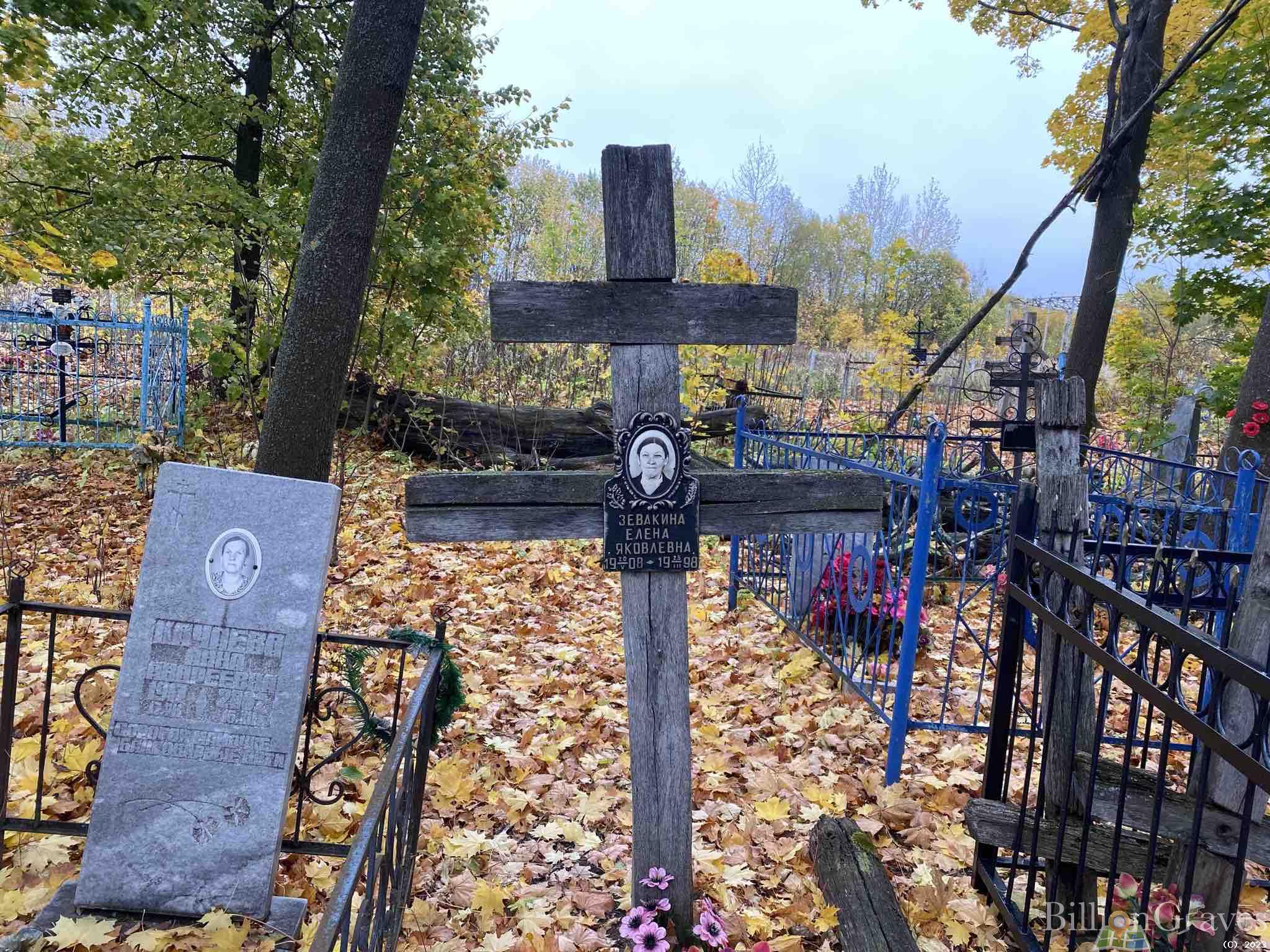 Зевакина Елена Яковлевна