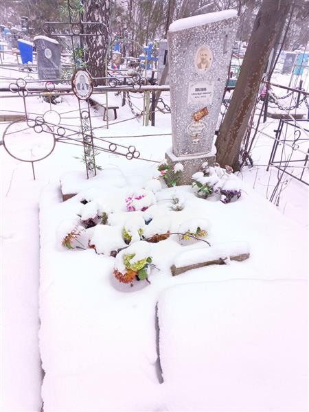 Мешалов Дима