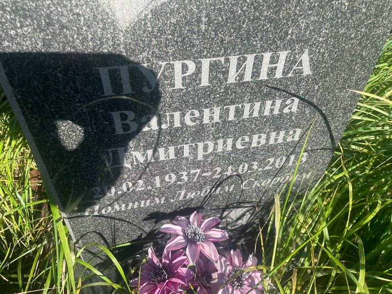 Пургина
