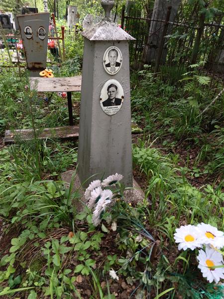 Васенева Александра Николаевна