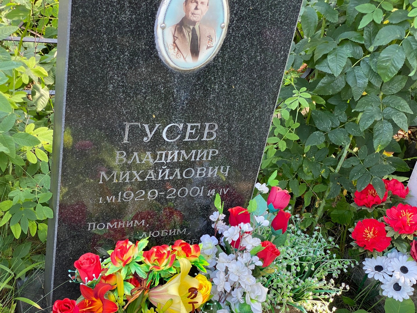 Гусев