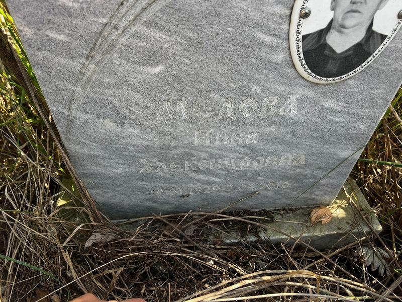 Медова