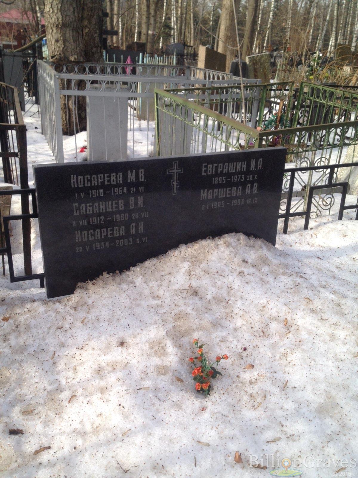 Носарева А.Н.