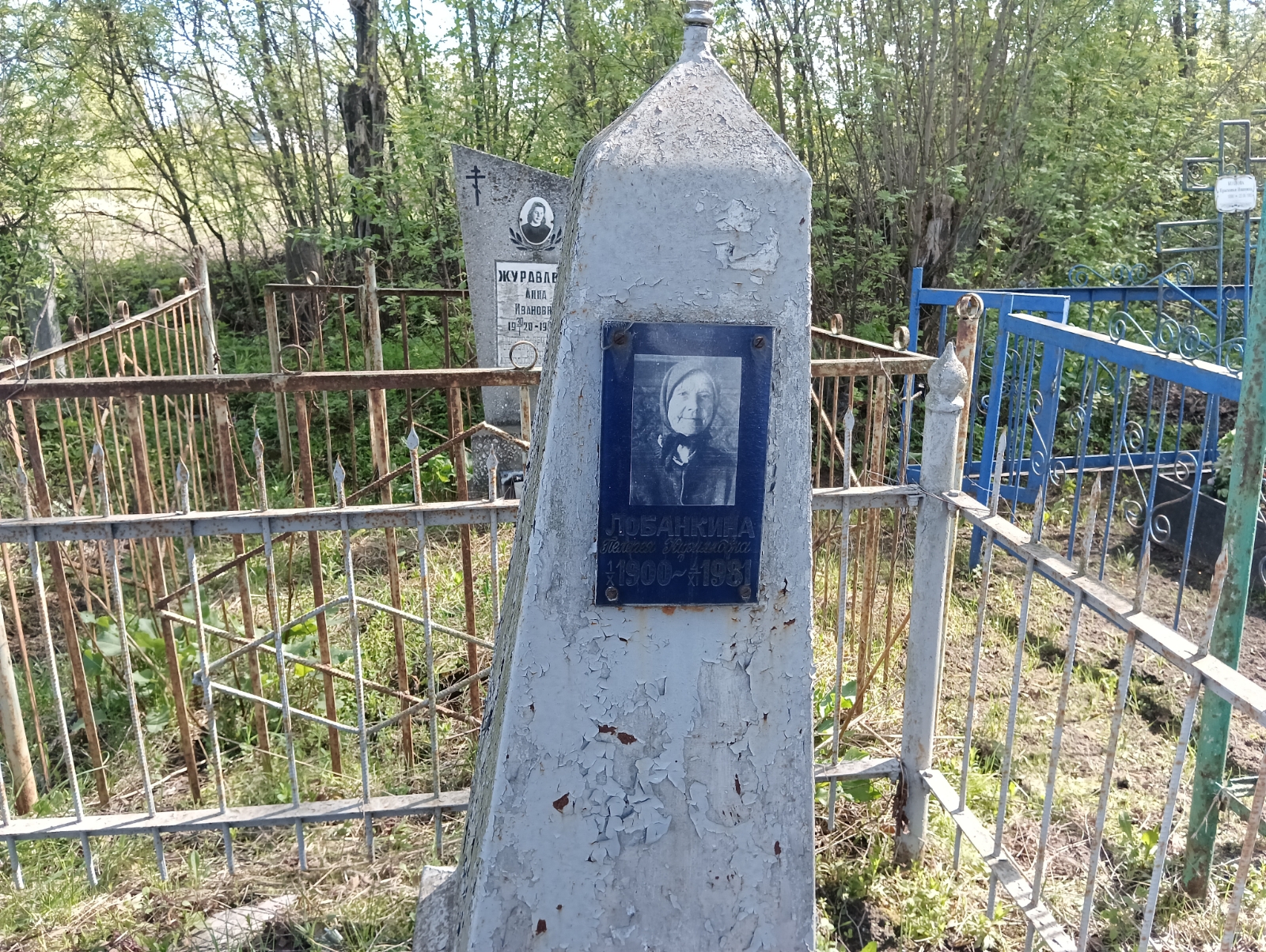 Лобанкина Пелагея Кирилловна