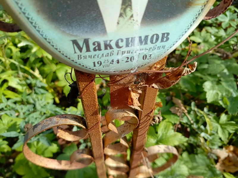 Максимов