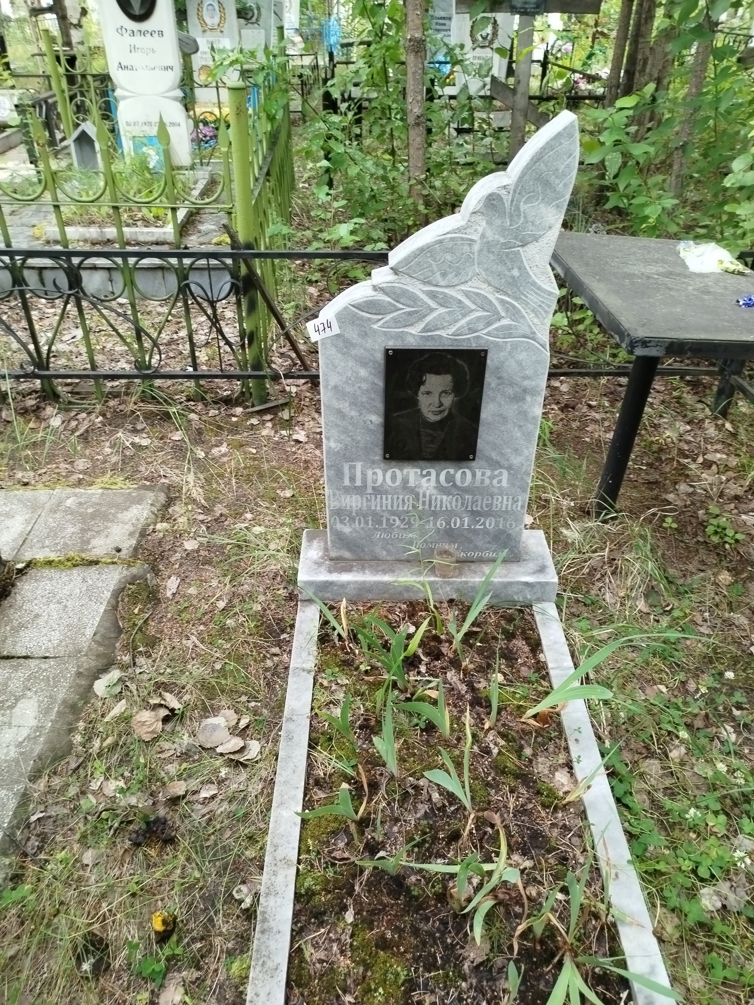 Протасова Виргиния Николаевна