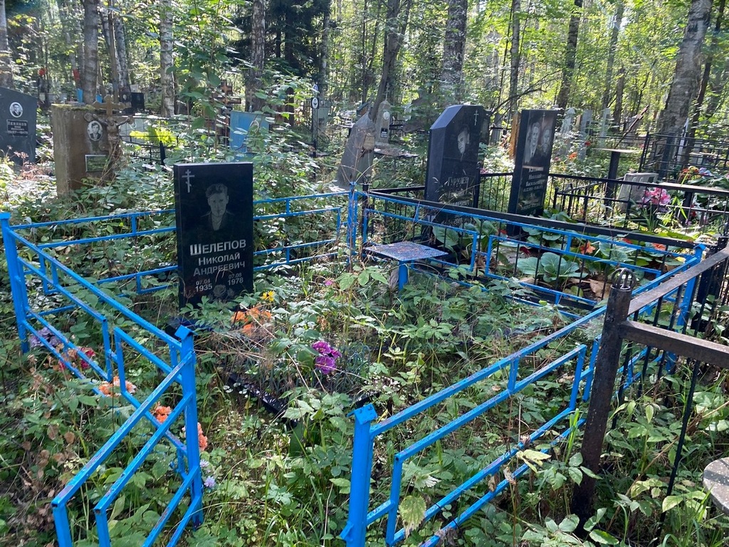 Шепелов Николай Андреевич