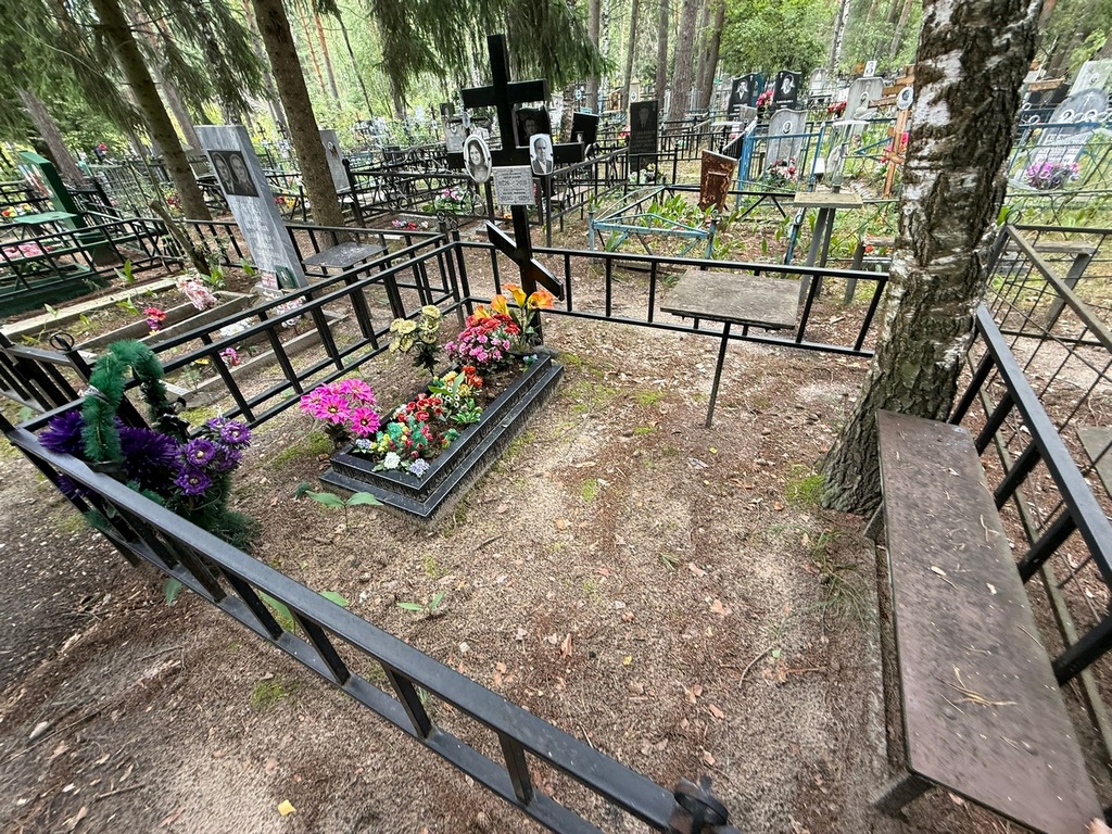 Дворянчиков Николай Кузьмич