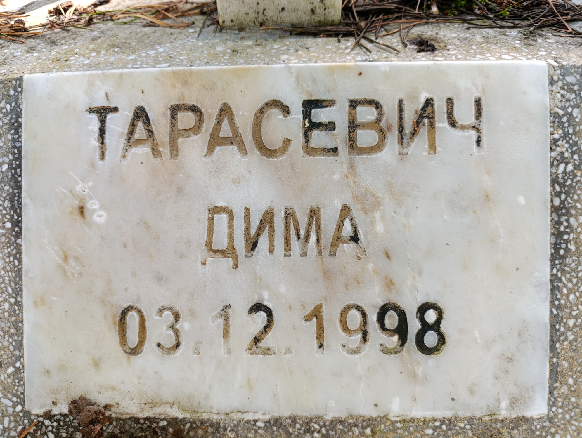 Тарасевич Дмитрий