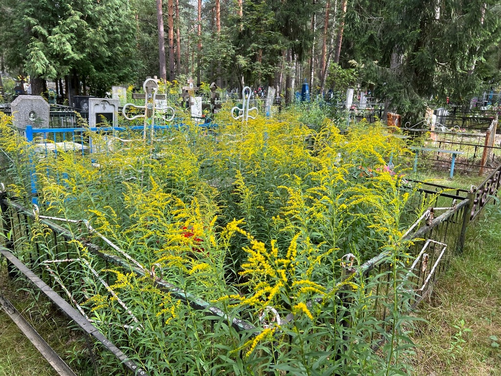 Жулина Клавдия Алексеевна