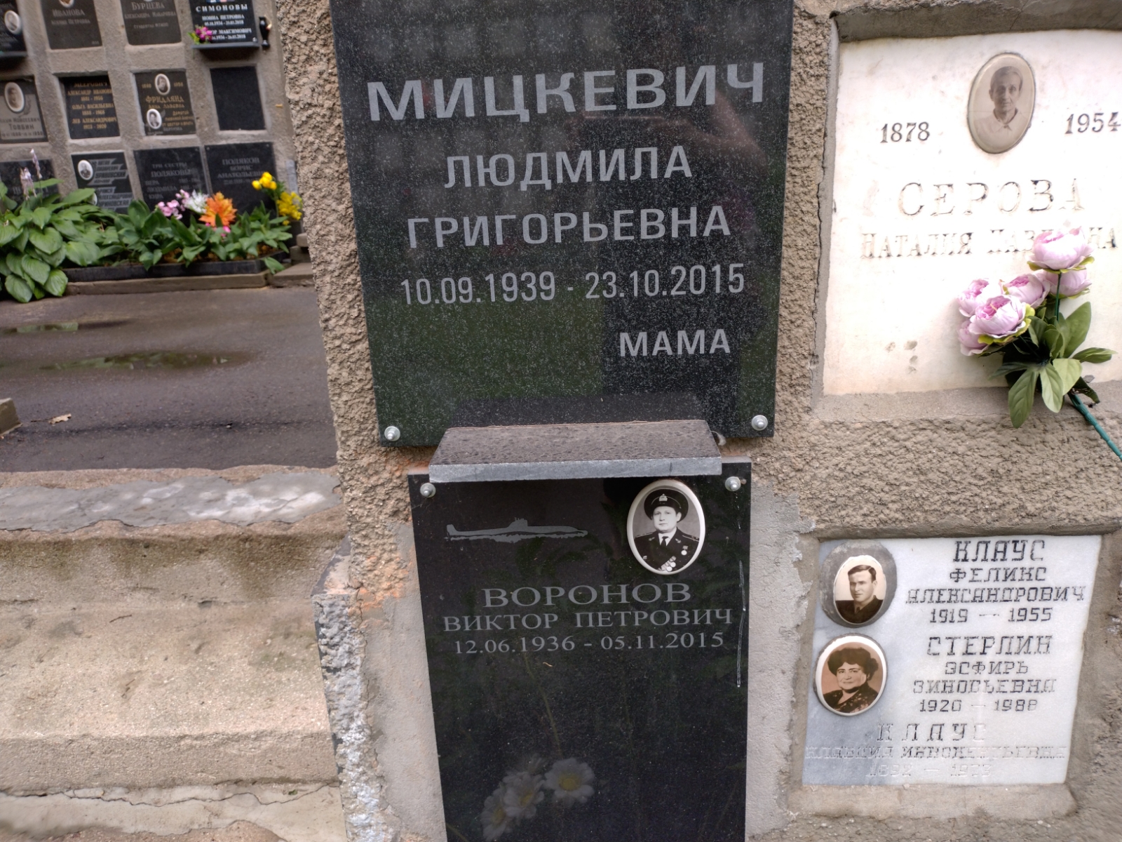 Воронов Виктор Петрович