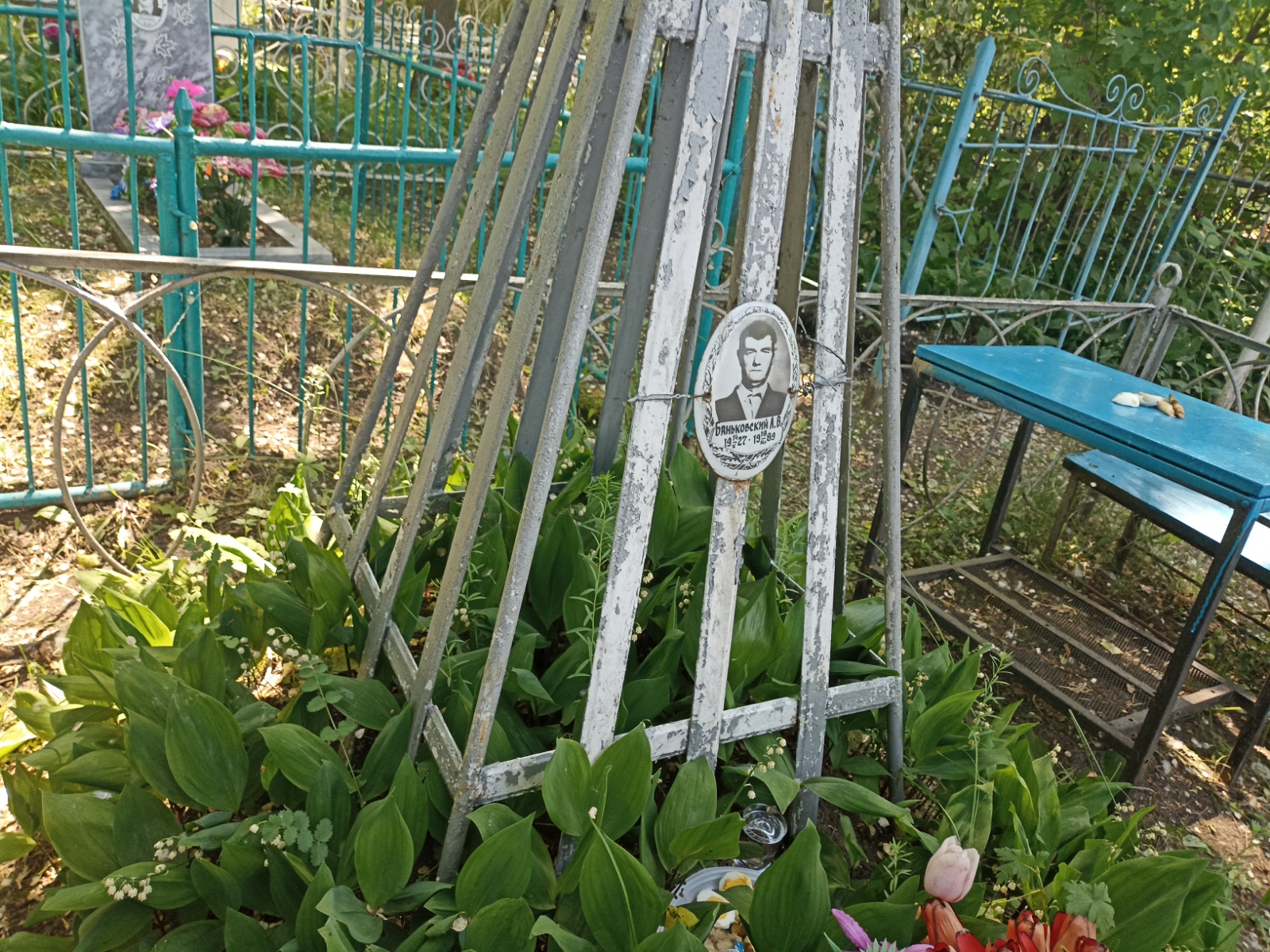 Баньковский Л. В.