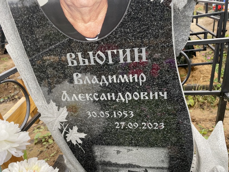 Вьюгин