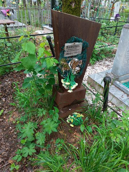 Клюсова Людмила Владимировна