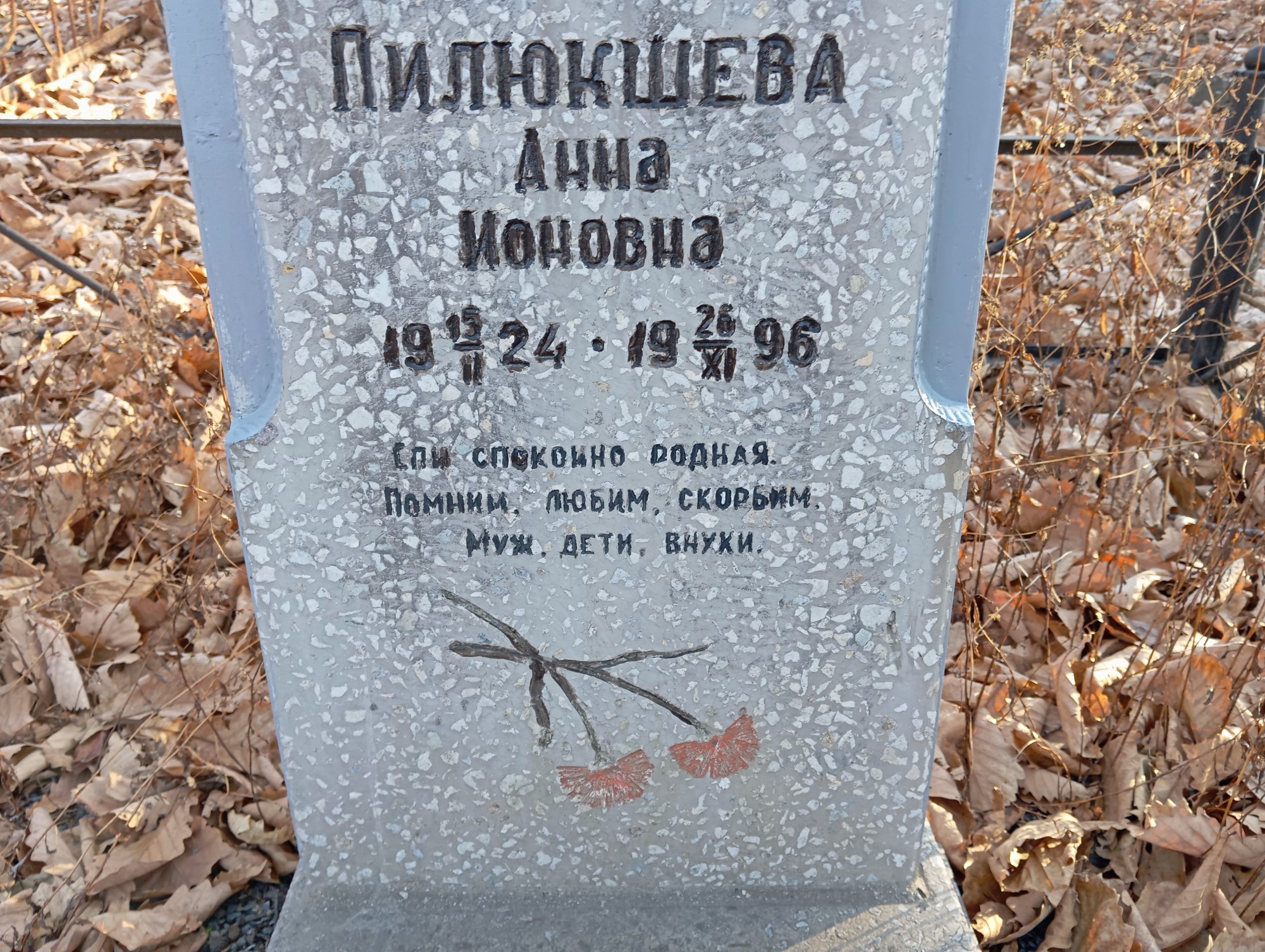 Пилюкшева Анна Ионовна