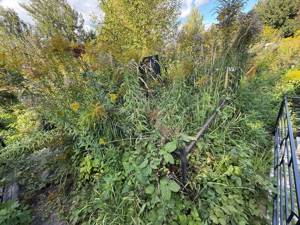 Королев Константин Иванович