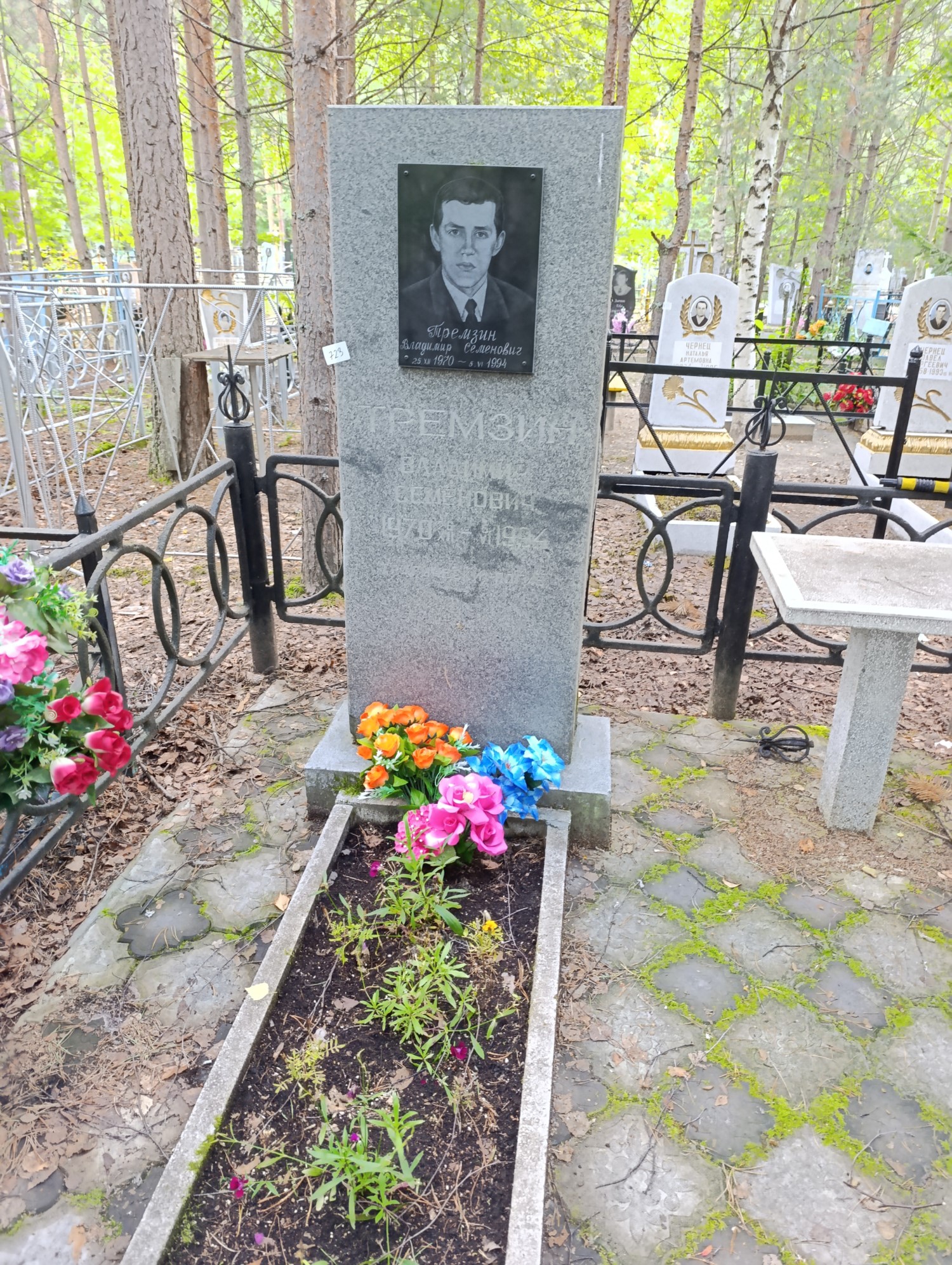Тремзин Владимир Семенович
