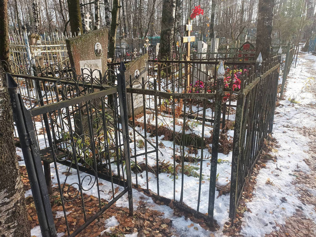 Сажин Ион Иванович