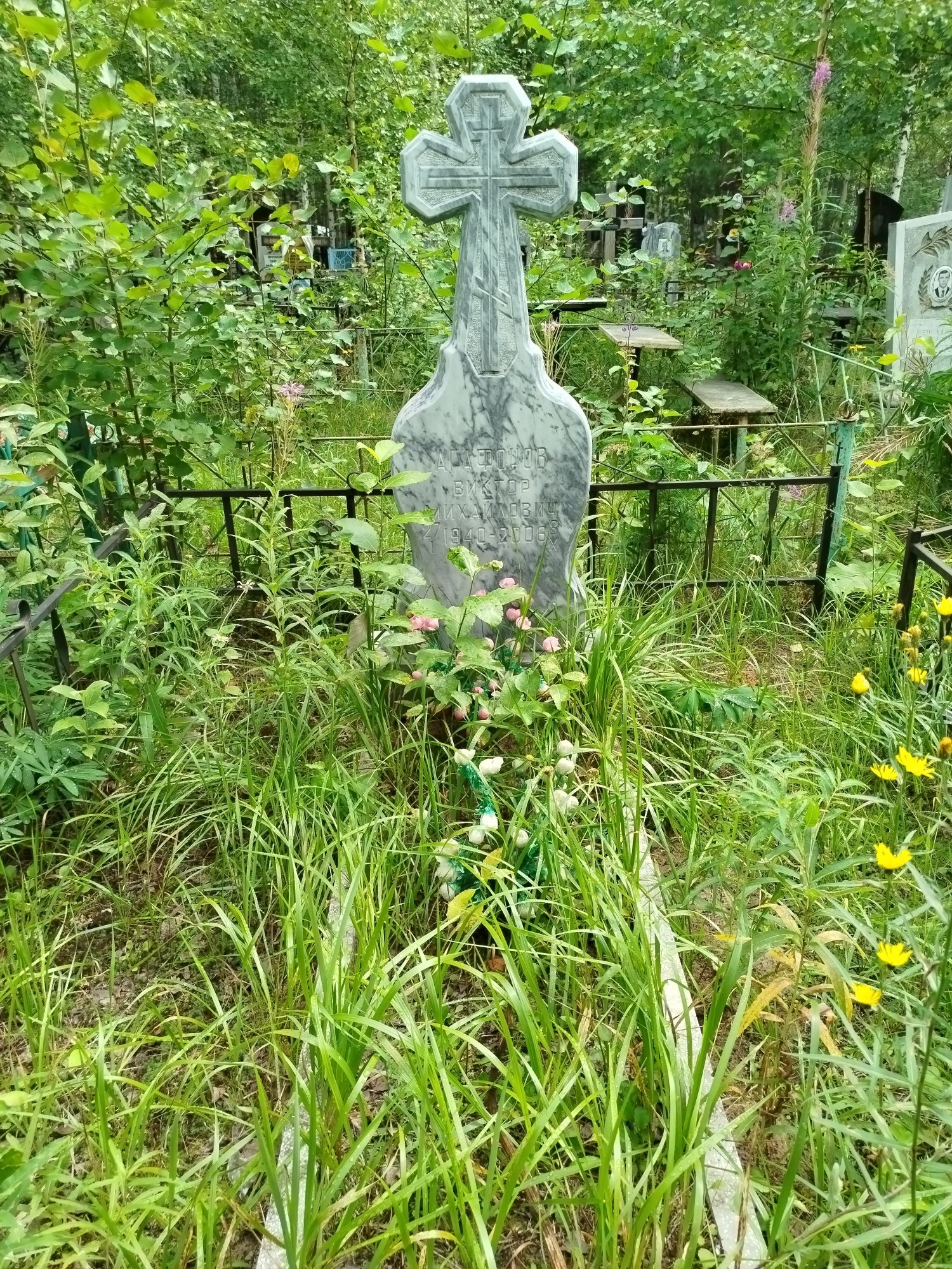 Агафонов Виктор Михайлович
