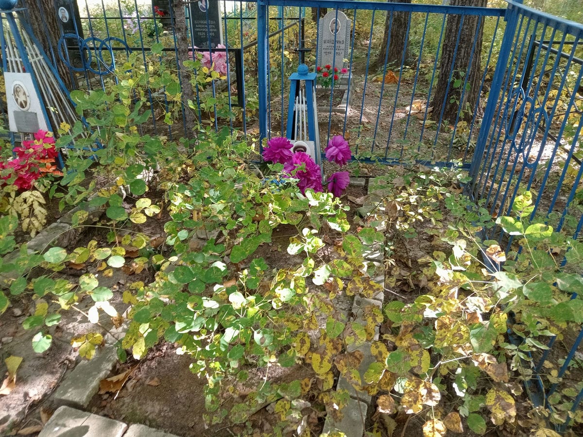 Мажух Никифор Прокофьевич