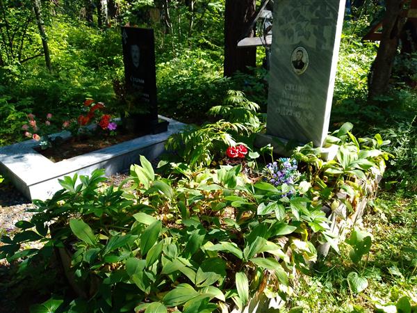 Суханов Александр Викторович