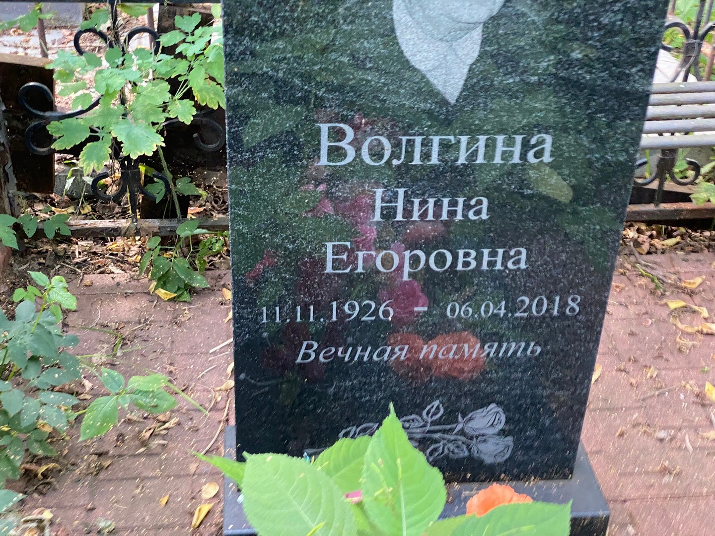 Волгина