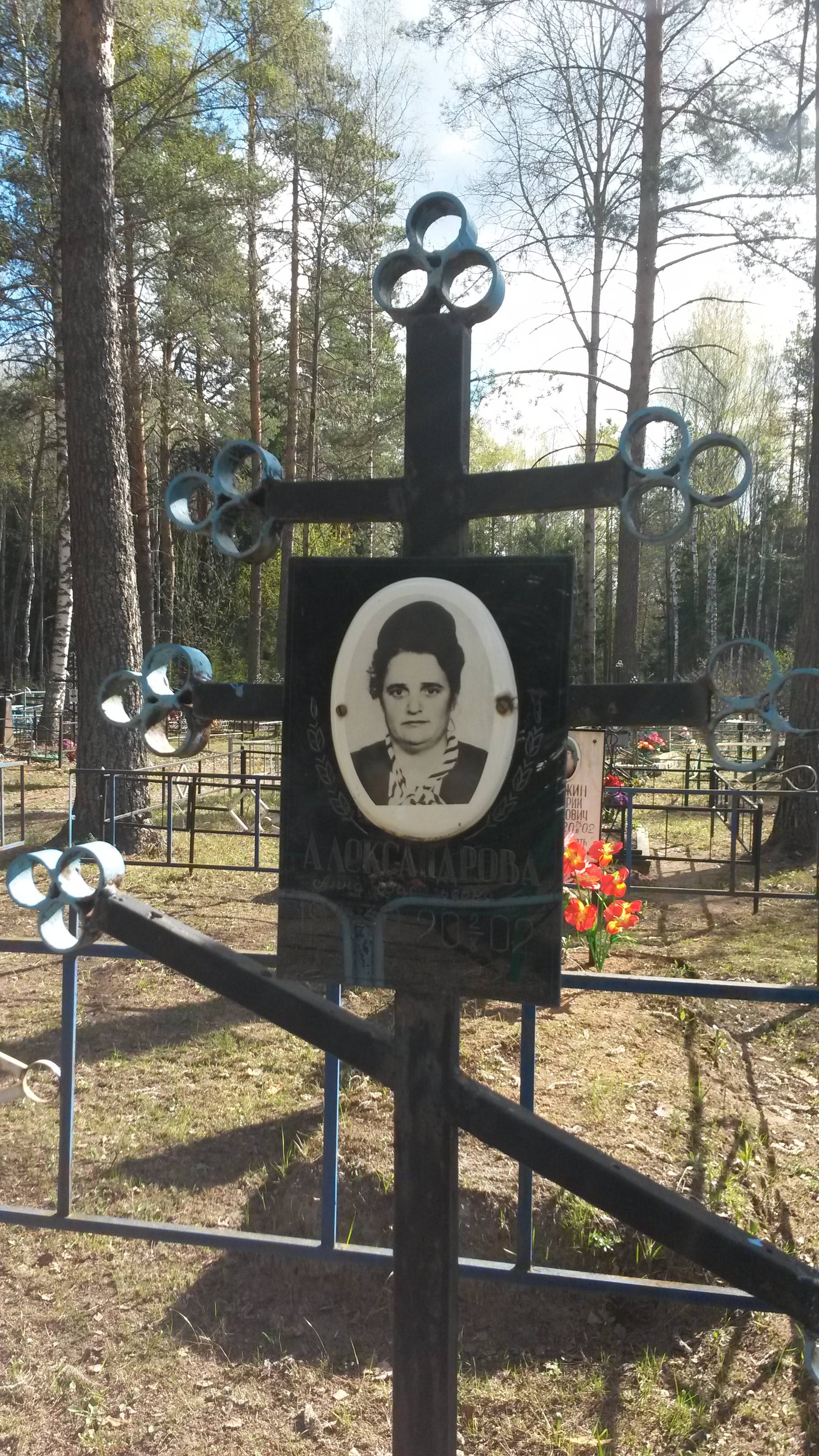 Александрова Анна Васильевна