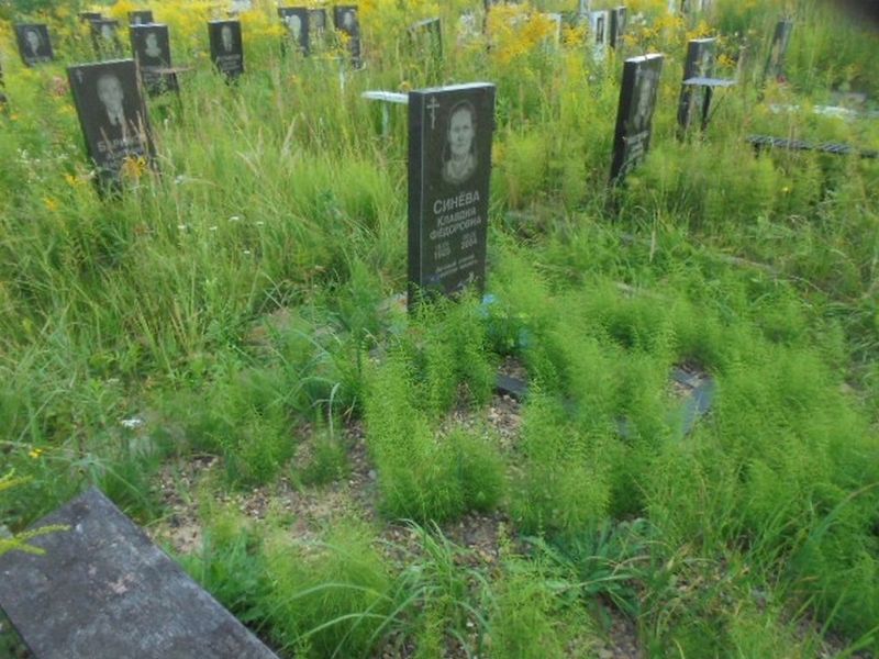 Синева Клавдия Федоровна