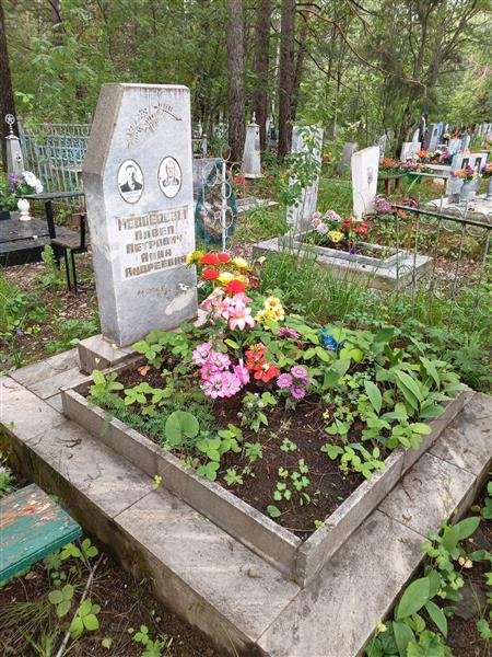 Медведев Павел Петрович