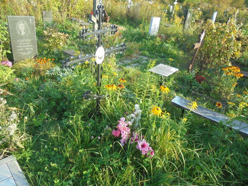 Шуваев Николай Максимович