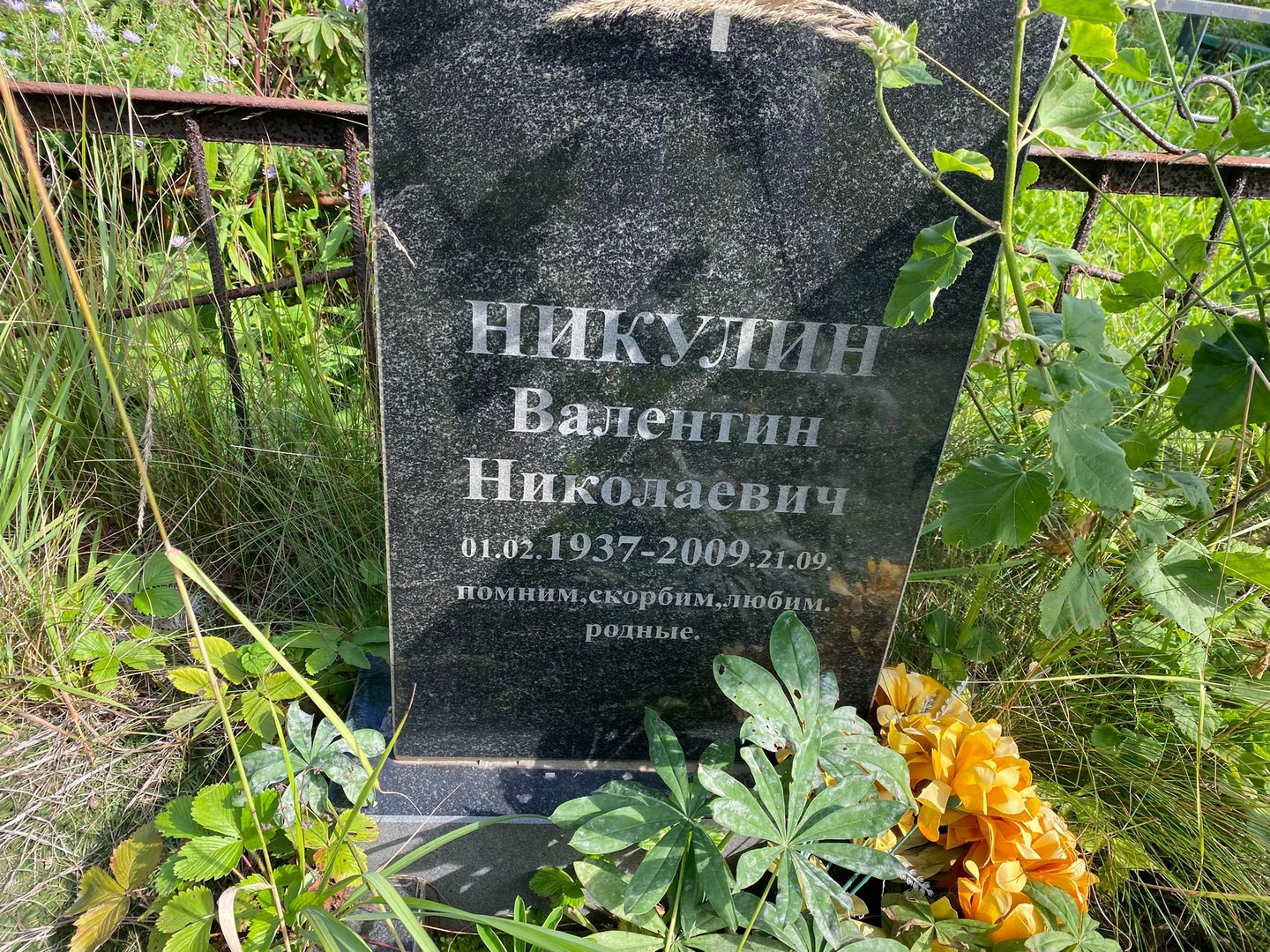 Никулин