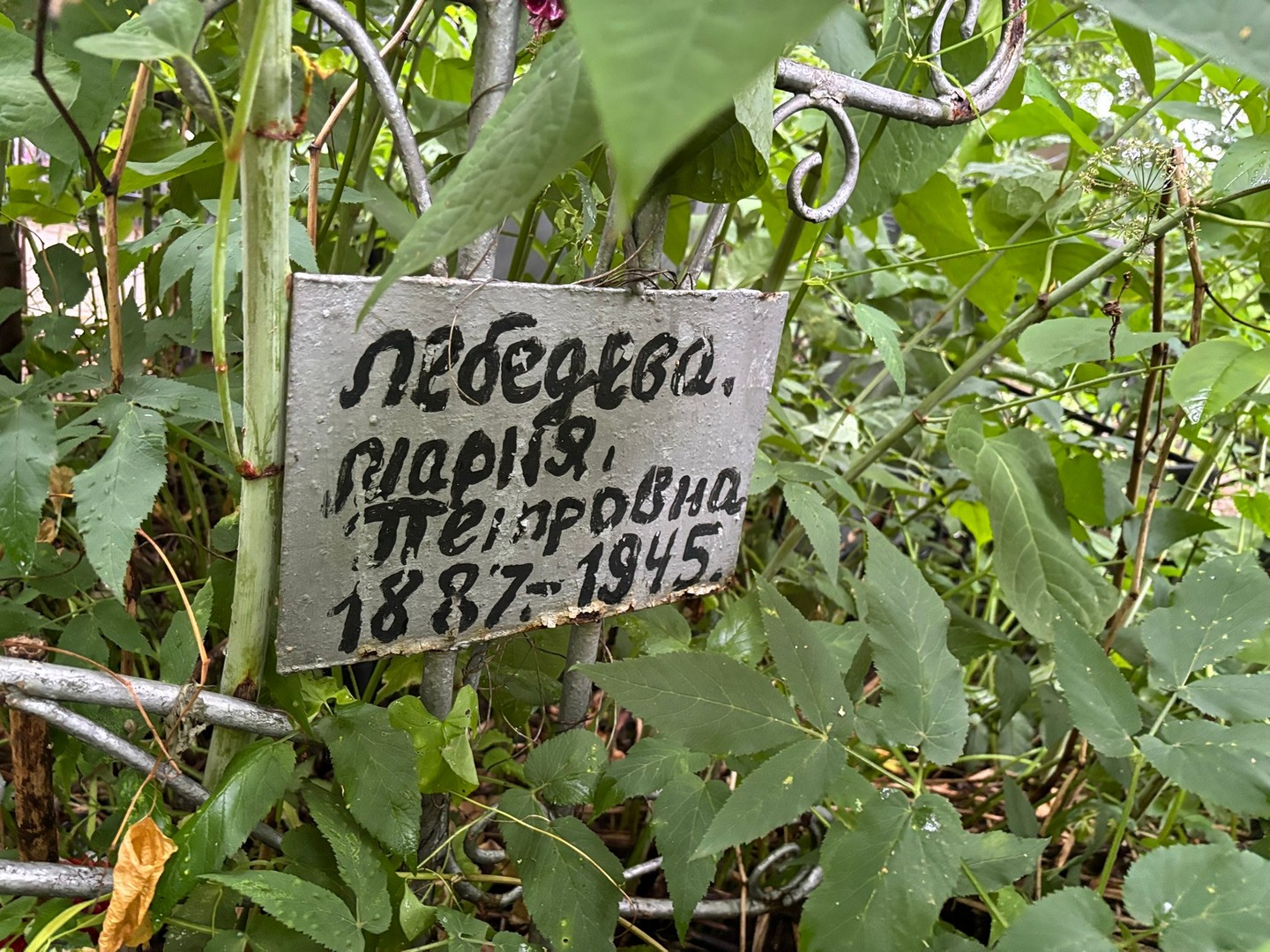 Лебедева