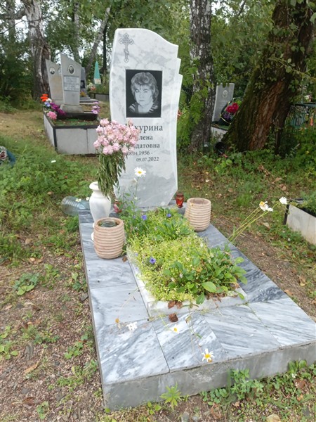 Шкурина Елена Явдатовна