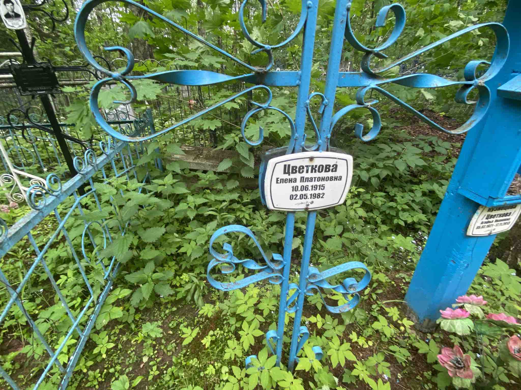 Цветкова Елена Платоновна