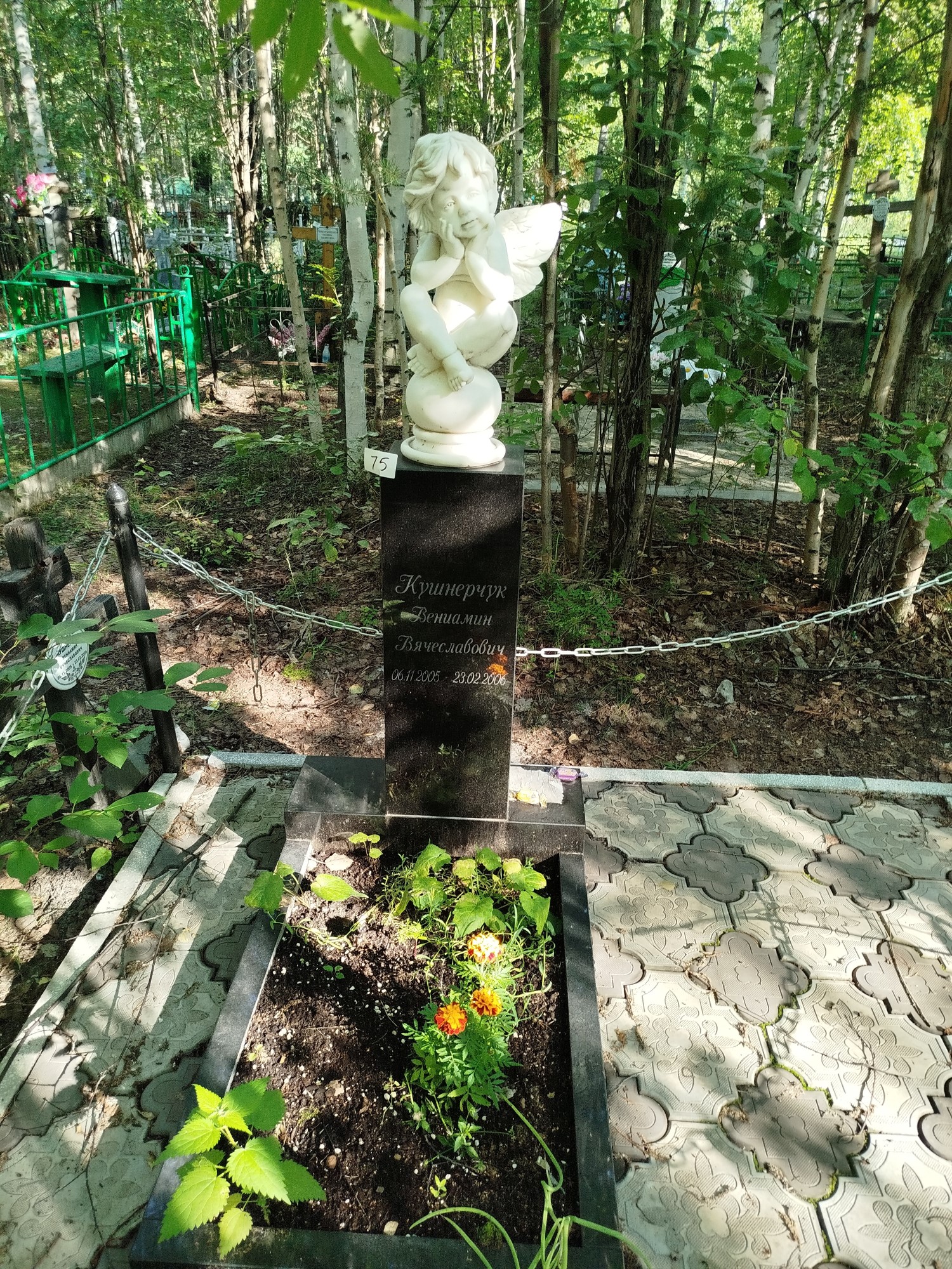 Кушнерчук Вениамин Вячеславович