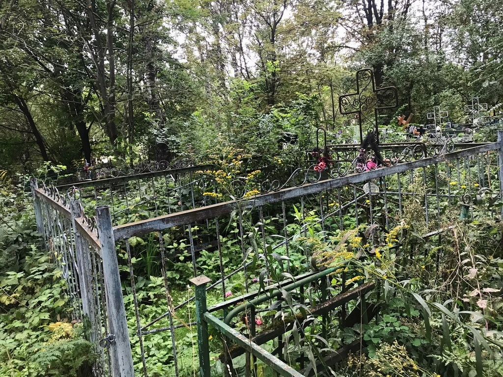 Солдатова Ольга Николаевна