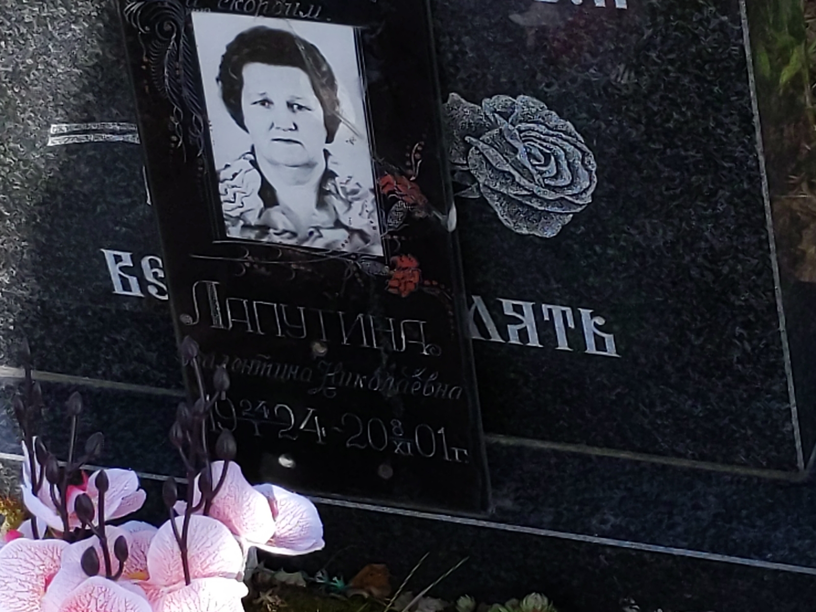 Лапутина Валентина Николаевна