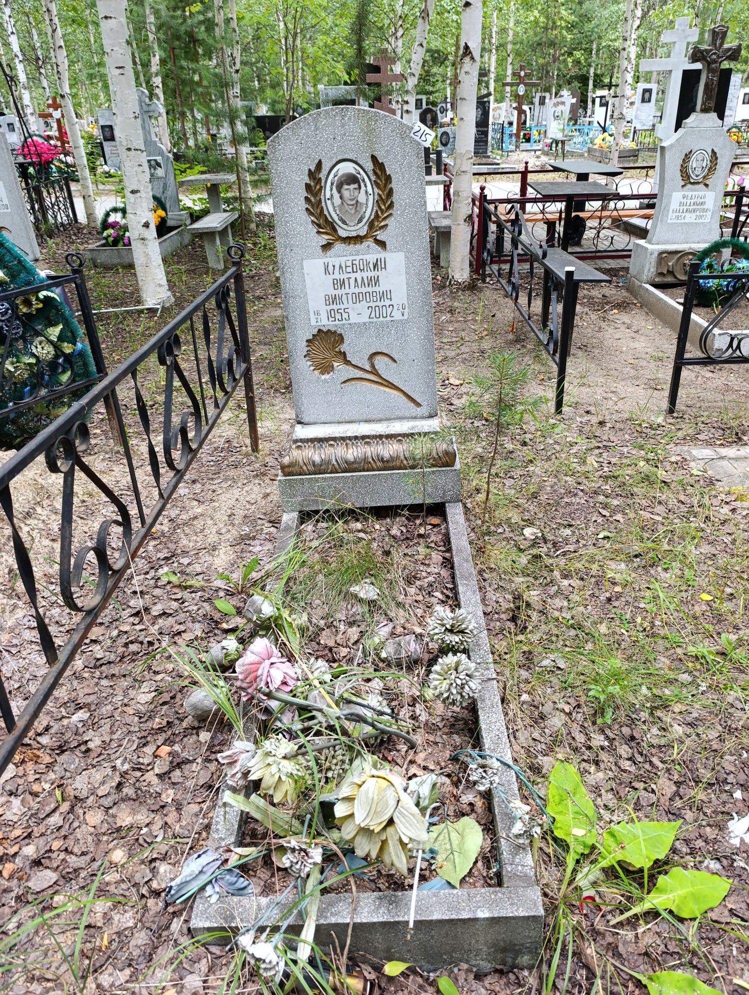 Кулебякин Виталий Викторович
