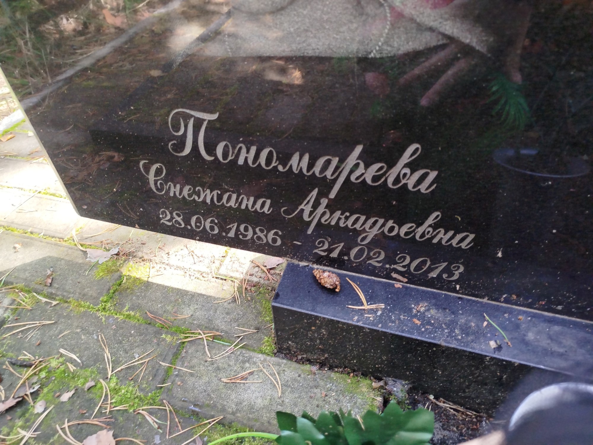 Пономарева Снежана Аркадьевна