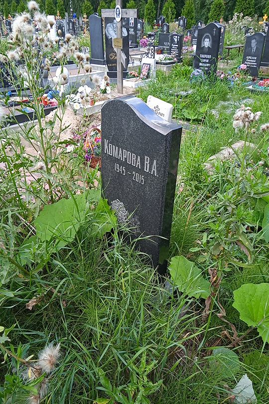 Комарова В. А.