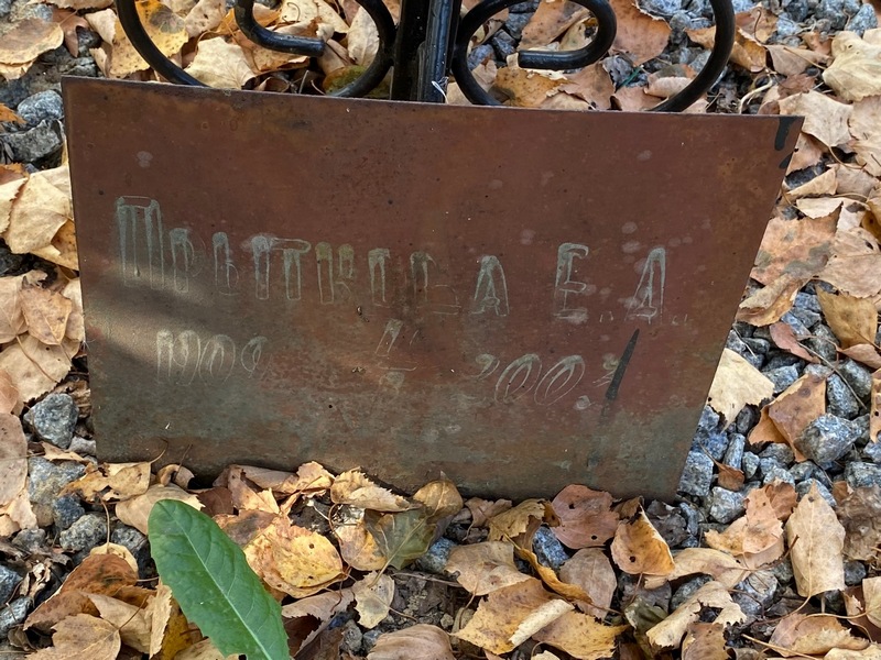 Е. Прыткова А.